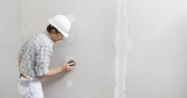 Best Mold Documentation for Insurance Claims  in Madison Heights, MI