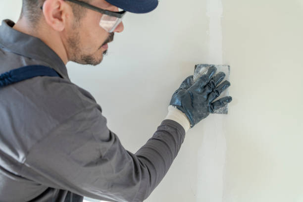  Madison Heights, MI Mold Removal Pros