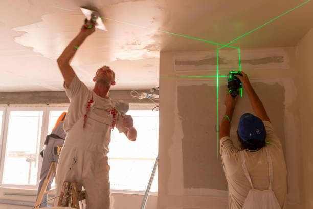 Best Mold Prevention Services  in Madison Heights, MI