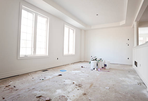 Best Attic Mold Removal  in Madison Heights, MI