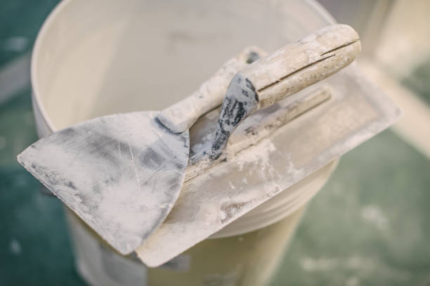 Best Water Damage & Mold Remediation  in Madison Heights, MI